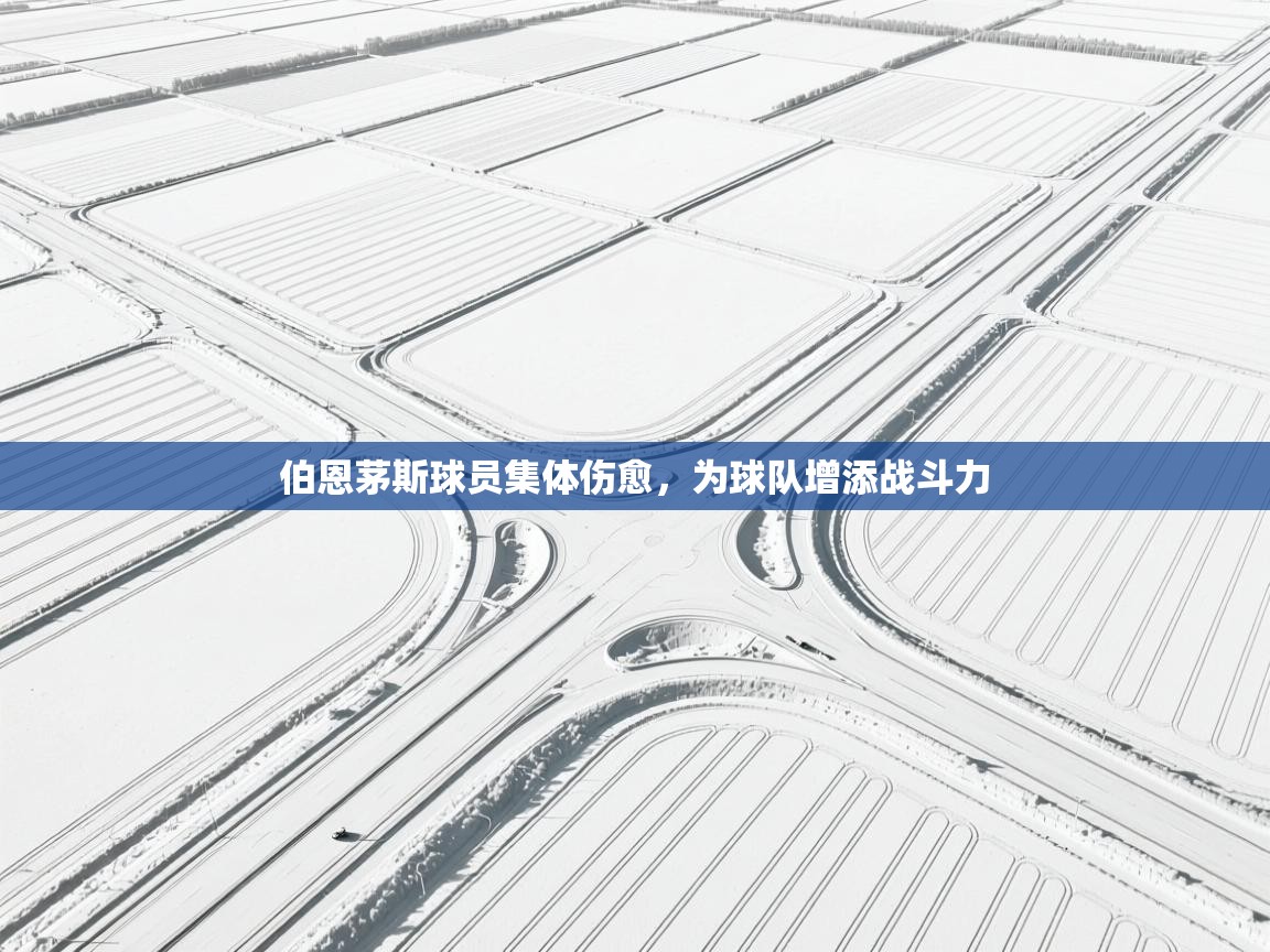 伯恩茅斯球员集体伤愈，为球队增添战斗力  第2张