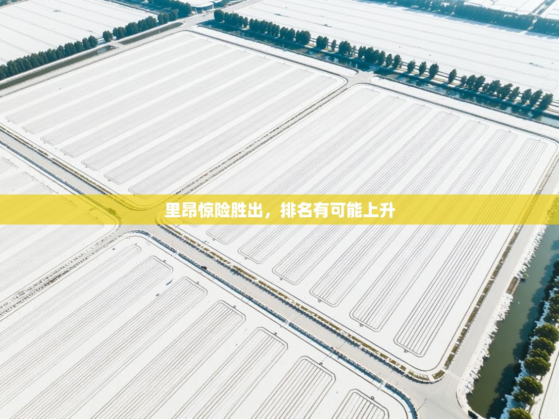 里昂惊险胜出,排名有可能上升 第1张