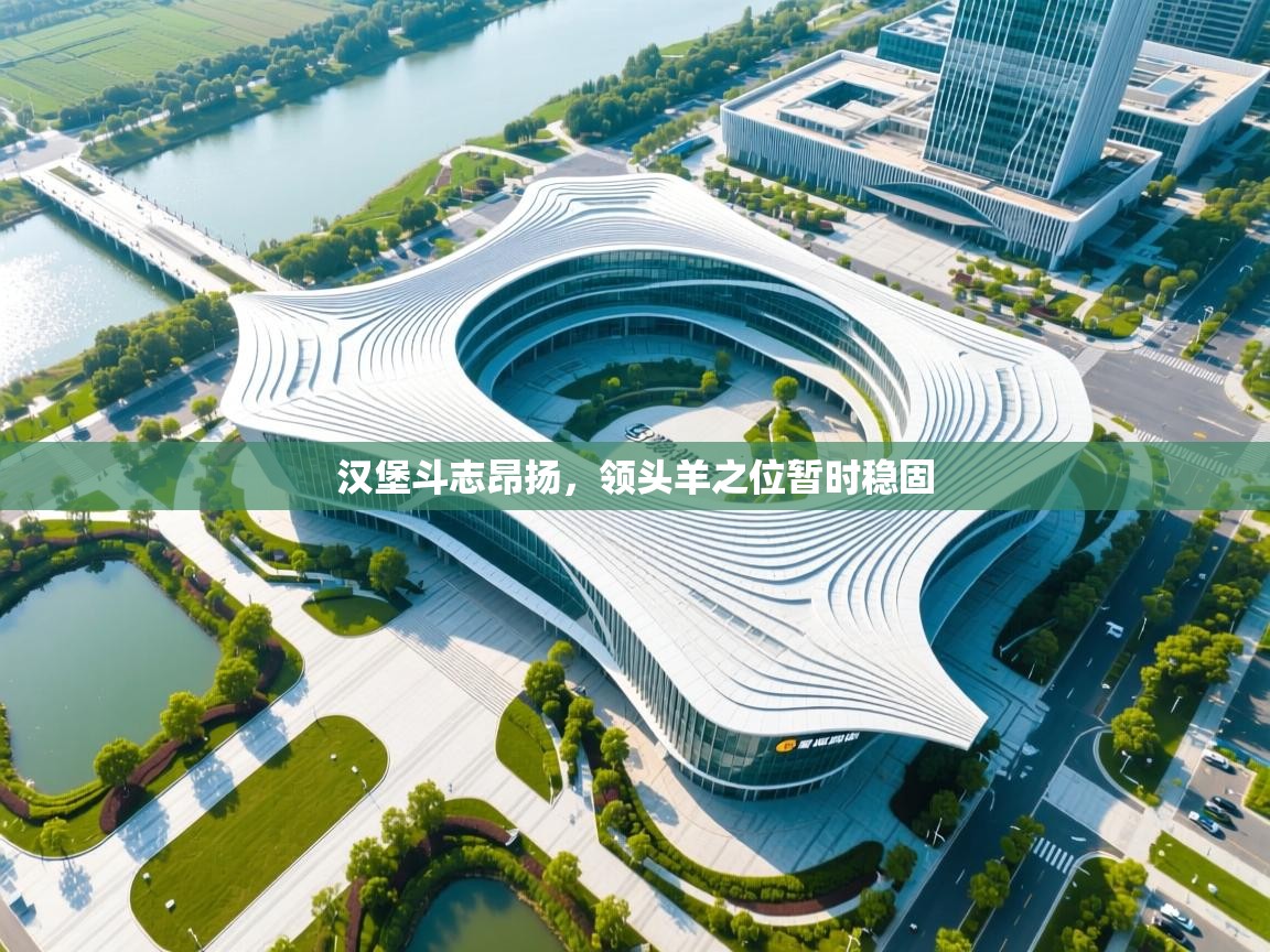 汉堡斗志昂扬，领头羊之位暂时稳固  第1张