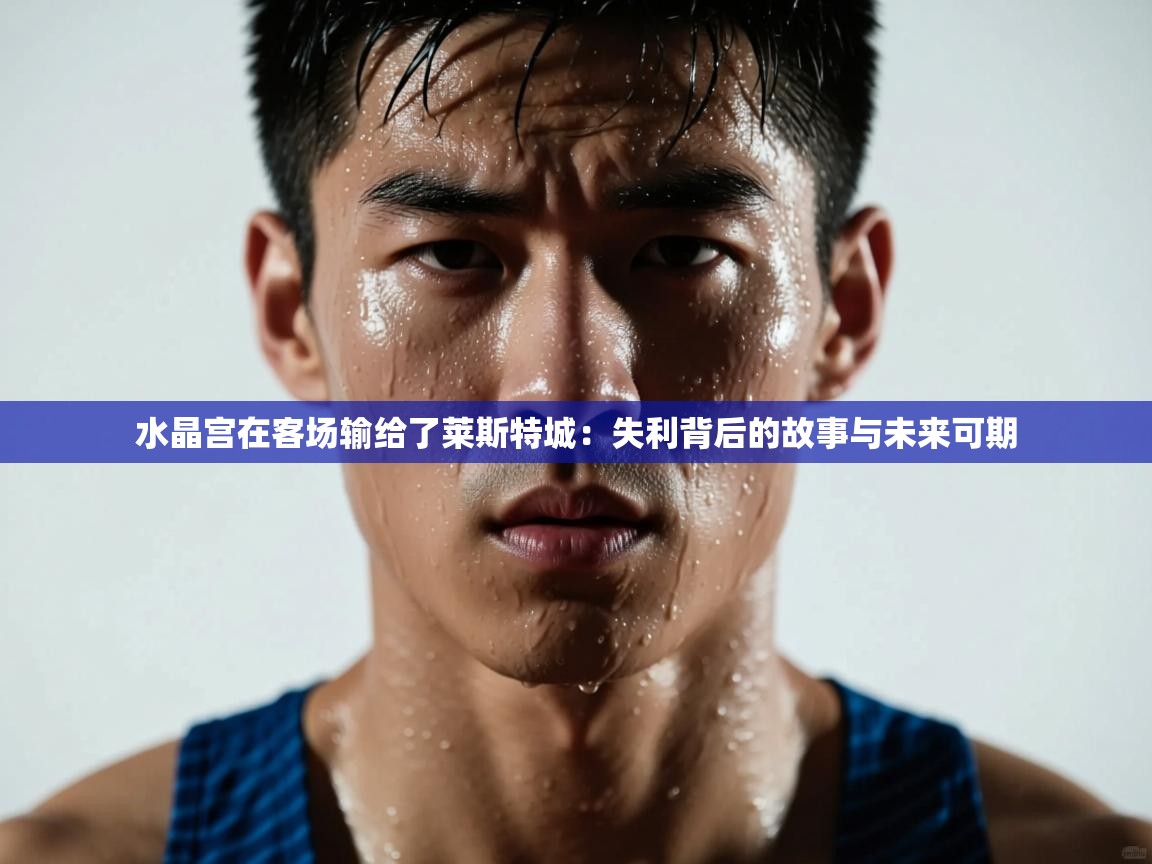 水晶宫在客场输给了莱斯特城：失利背后的故事与未来可期  第1张