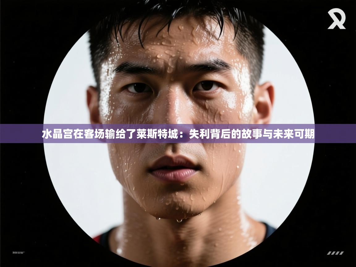 水晶宫在客场输给了莱斯特城：失利背后的故事与未来可期  第2张